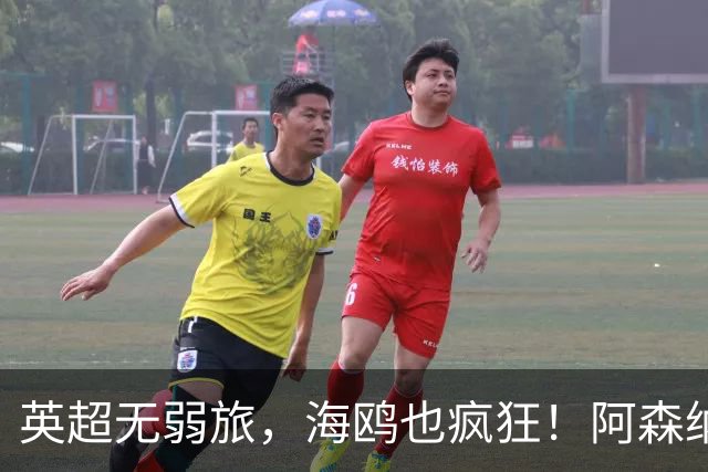 英超无弱旅，海鸥也疯狂！阿森纳3球惨败，拉亚成了远射背景板